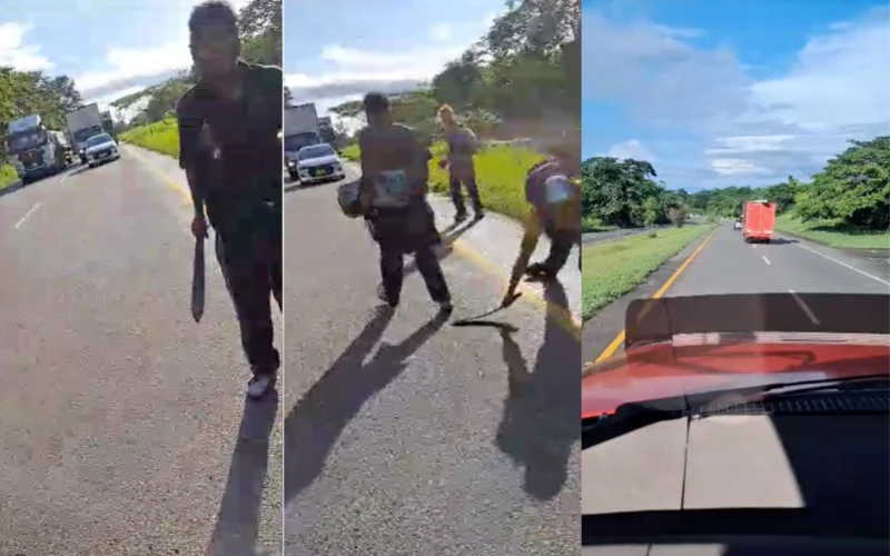 En Video: Conductor de tractomula desafía polizones armados y denuncia inseguridad en las carreteras Colombianas