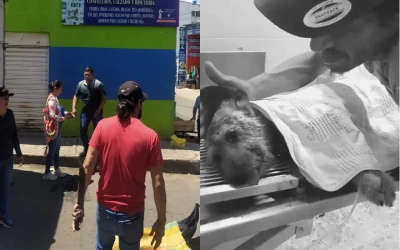 En video: Altercado en Piedecuesta: Un perro herido con machete en confuso enfrentamiento