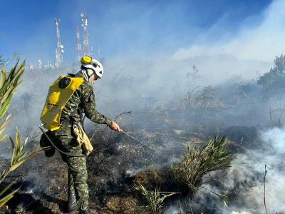 Alerta Roja en Santander: Municipios en Riesgo Extremo por Incendios Forestales