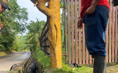 Motociclista fallece en Cimitarra tras accidente en la Troncal del Carare