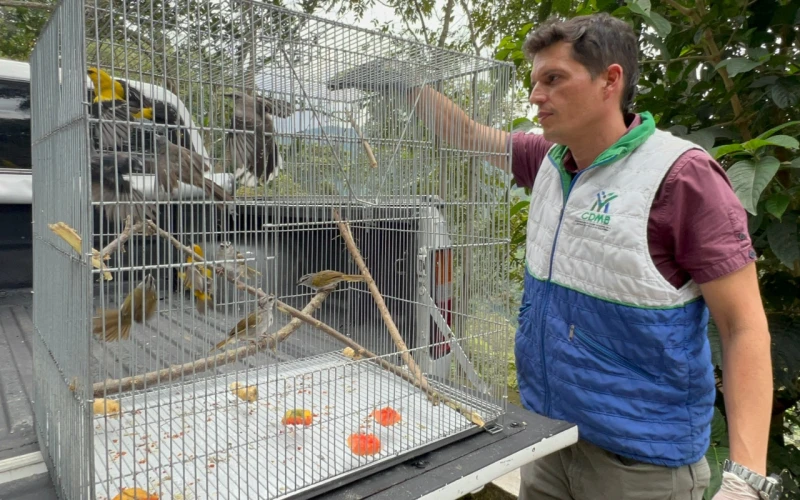 CDMB refuerza la lucha contra el tráfico de fauna silvestre en Santander