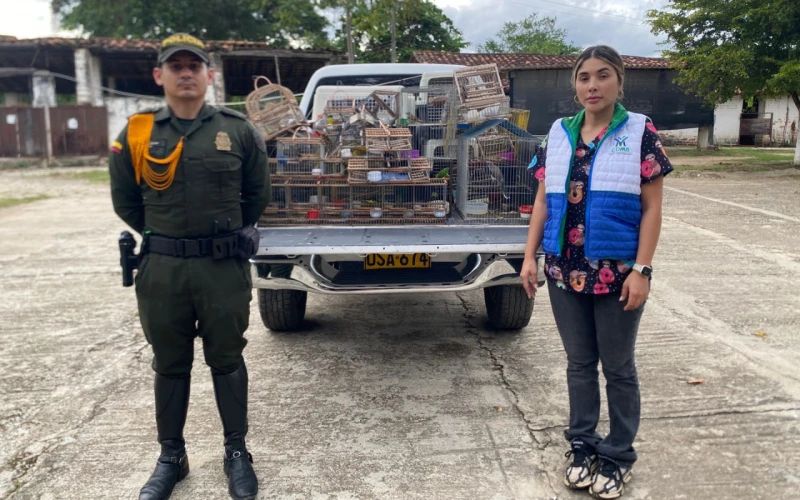 CDMB refuerza la lucha contra el tráfico de fauna silvestre en Santander