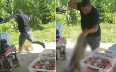 Lo arrinconó la indignación: se entregó el agresor del perro en Caucasia.