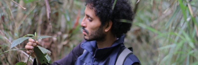 Ke se dice - OTRA WEB