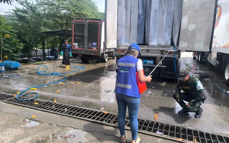 115 operativos, 92 capturas y más de 2.000 animales rescatados: Balance ambiental de la CDMB