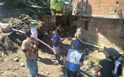 115 operativos, 92 capturas y más de 2.000 animales rescatados: Balance ambiental de la CDMB