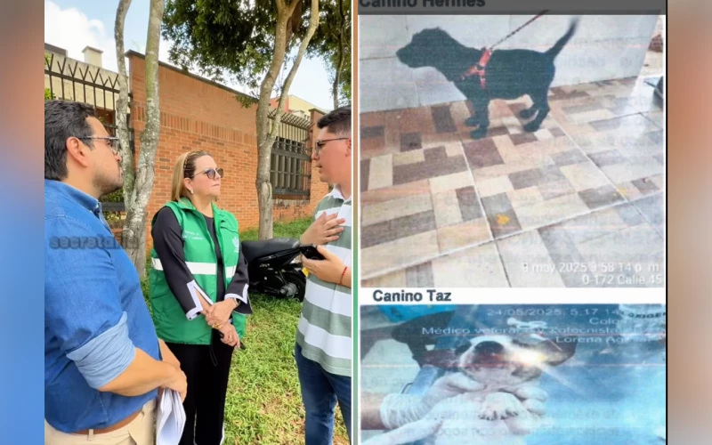 Escándalo en la UBA: ordenaban eutanasias por WhatsApp a mascotas sin enfermedades graves