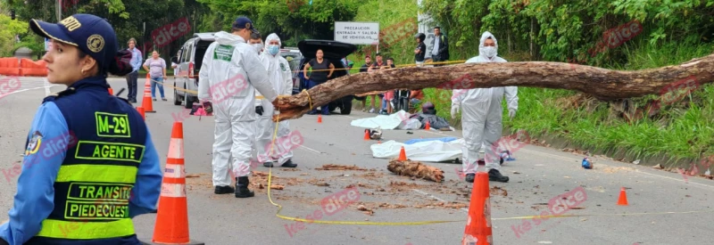 Ke se dice -  Arbol 2