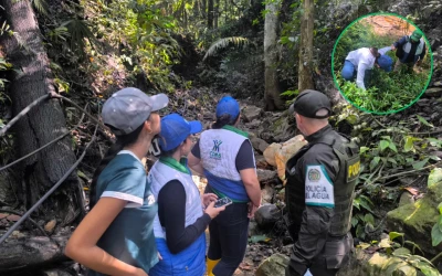 La lucha silenciosa de la CDMB por proteger los ecosistemas y recuperar el territorio de todos