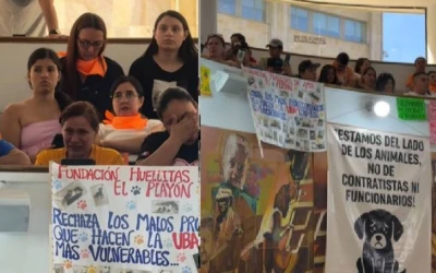 “Chats macabros”: así decidían la muerte de animales en la UBA, en Bucaramanga