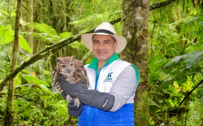 CDMB libera 270 animales silvestres y celebra un bosque que vuelve a la vida