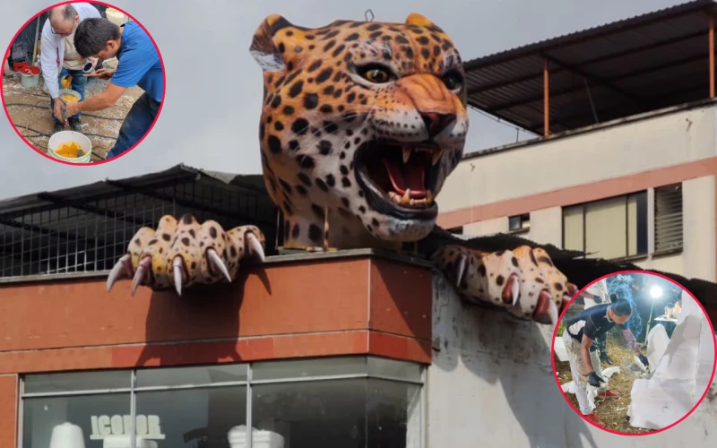 El Leopardo gigante que ya ruge en plena Quebrada Seca