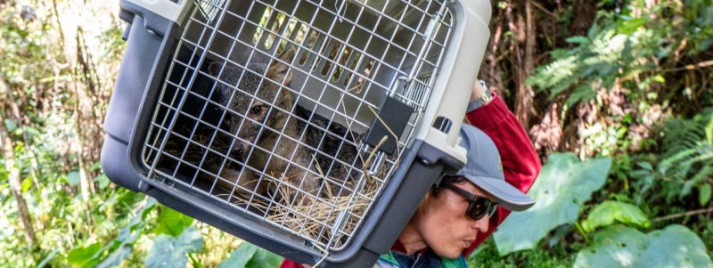 Ke se dice -  TOBY 1