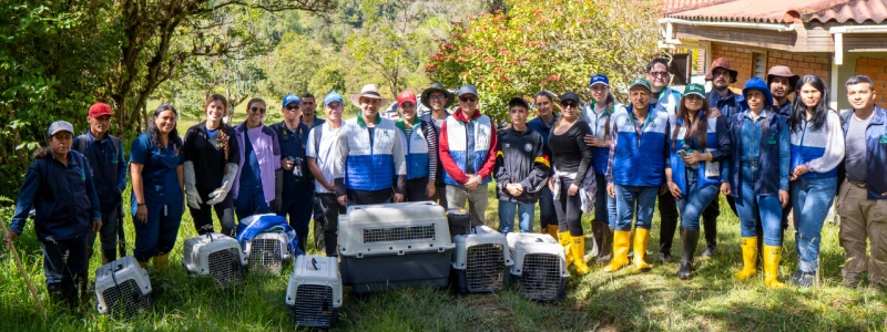 Ke se dice -  TOBY 2