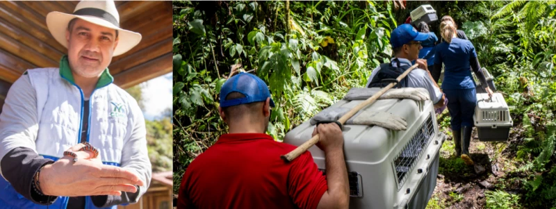 Ke se dice -  TOBY 3