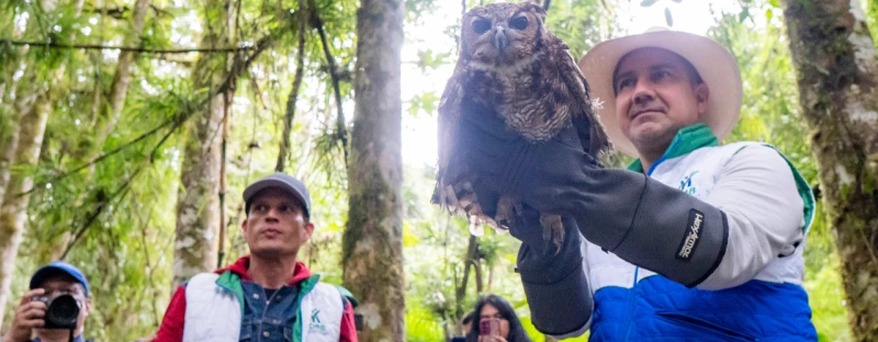 Ke se dice -  TOBY 4