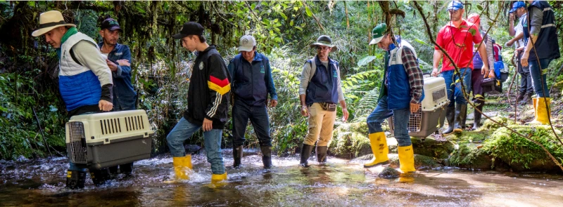 Ke se dice -  TOBY 5