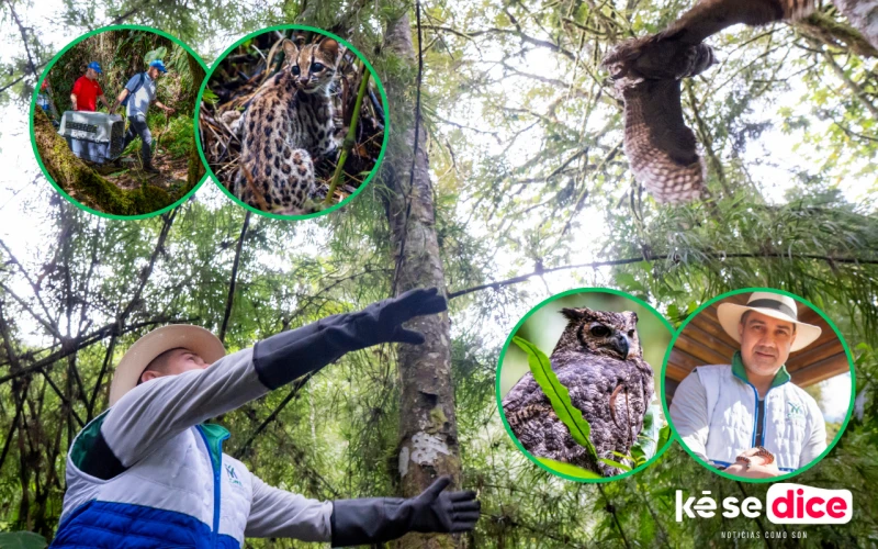 El milagro de Toby: así laten los corazones de los héroes al rescate animal en Santander