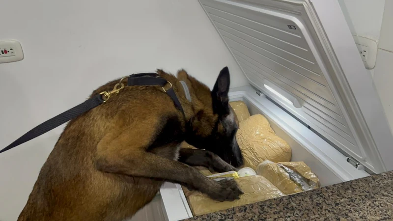 Ke se dice -  WhatsApp Image 2025-11-25 at 11.18.42