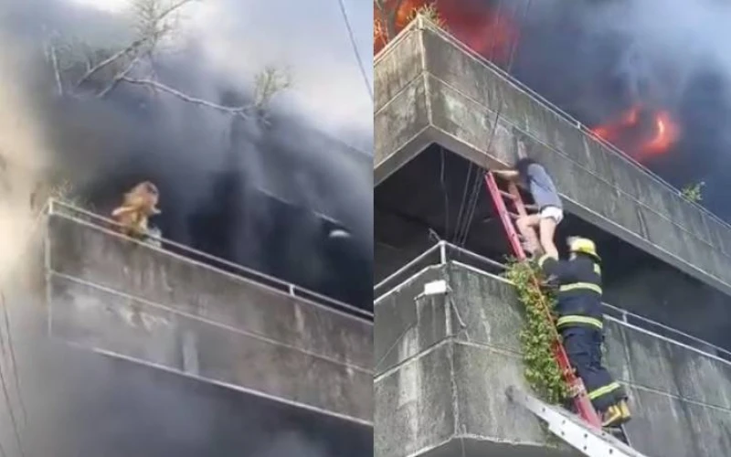 Video: Mujer arriesgó su vida para salvar a sus perritos durante un incendio en Filipinas