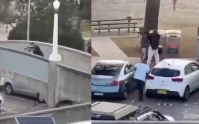 Video: Un valiente australiano desarmó a terrorista que mató a 12 personas con un rifle