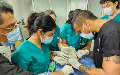 Cuando salvar la vida de la fauna silvestre se escribe con nombre propio: CAV-CDMB