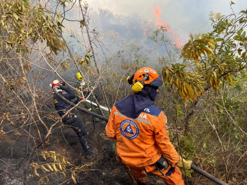 Bomberos y Defensa Civil lucharon toda la noche contra incendio forestal en Piedecuesta