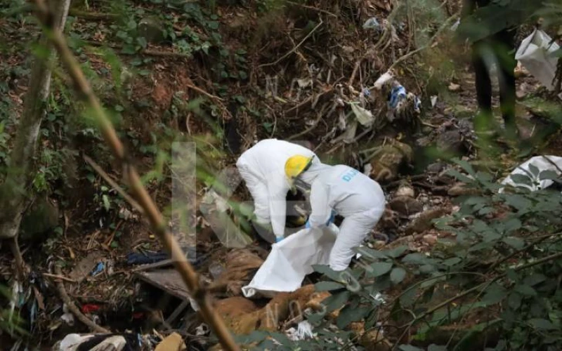 Gracias a los gallinazos, encuentran un cadáver en zona boscosa de Bucaramanga