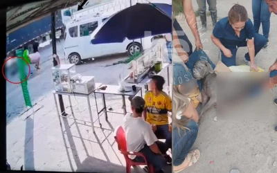 Indignación en Lebrija por brutal atropello de un perrito cuyo responsable huyó sin prestarle auxilio.