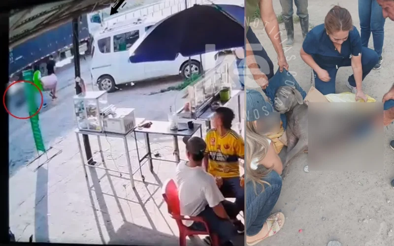 Indignación en Lebrija por brutal atropello de un perrito cuyo responsable huyó sin prestarle auxilio.