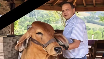 Ordenan devolverle $340 mil millones a la familia del 'Ñeñe' Hernández