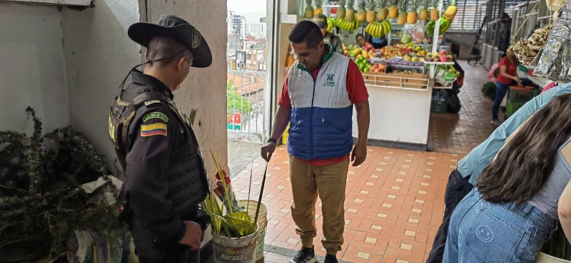 Cdmb mantiene restricciones para comercialización de especies protegidas en Semana Santa