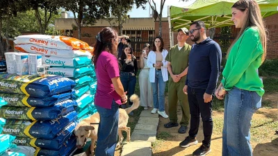 Seis fundaciones de Bucaramanga recibieron más de $70 millones en alimento para animales rescatados