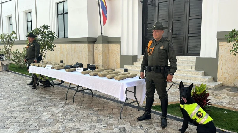 Perros antinarcóticos detectan 52 kilos de marihuana ocultos en camiones, en Bucaramanga