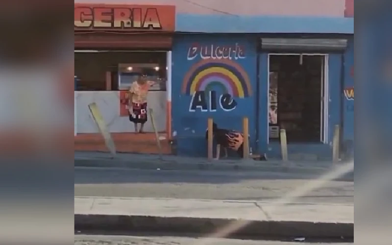 Video: Abuelita espantó a un 'therian' lanzándole agua