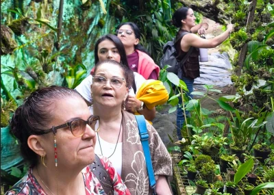 Desde este jueves, Bucaramanga se llena de color con la exposición gratuita de orquídeas