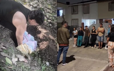 Hay un "envenenador" de animales suelto en el barrio Los Andes de Floridabalnca