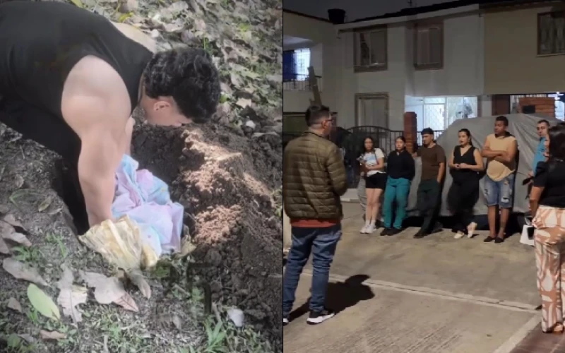 Hay un "envenenador" de animales suelto en el barrio Los Andes de Floridabalnca