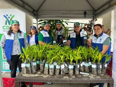 Con la entrega de 35 mil plántulas, CDMB quiere cambiar tradición del Domingo de Ramos en Santander