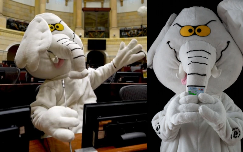 El 'Elefante Blanco' que se convirtió en senador por el partido Verde