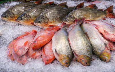 Arranca el Madrugón Pesquero en Centroabastos para la temporada de Semana Santa
