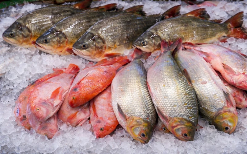Arranca el Madrugón Pesquero en Centroabastos para la temporada de Semana Santa
