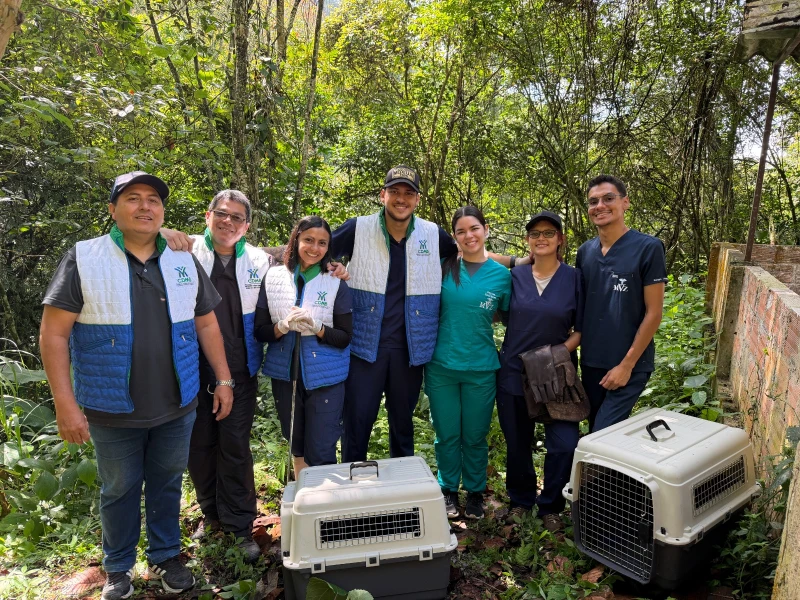 Ke se dice -  WhatsApp Image 2026-03-25 at 08.24.08