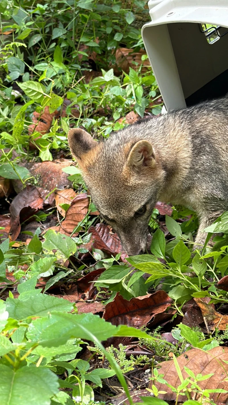 Ke se dice -  WhatsApp Image 2026-03-25 at 08.24.0822