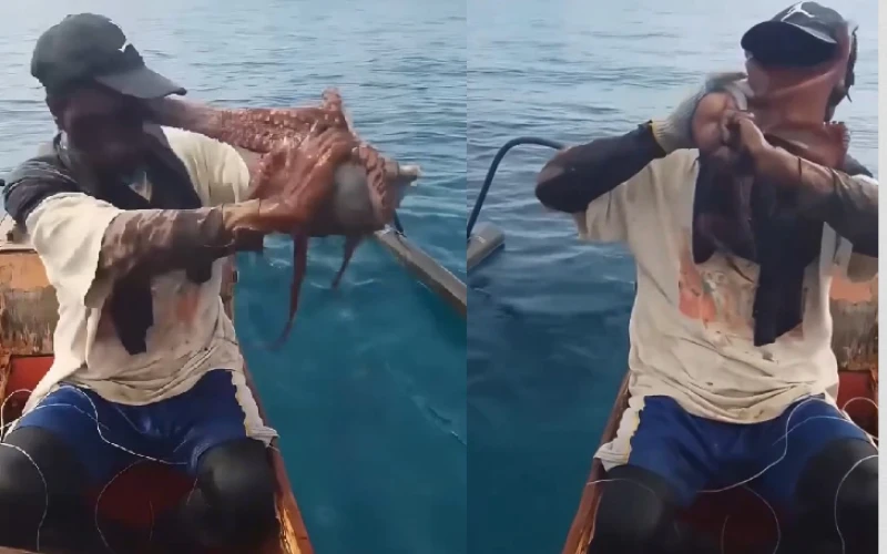 Pulpo se defiende con todas sus fuerzas y envuelve la cabeza del pescador con sus tentáculos