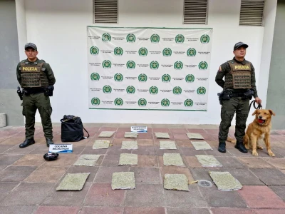 Perro antinarcóticos descubre cargamento de droga en la Terminal de San Gil