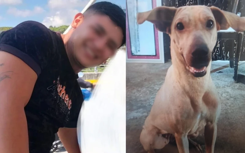 Identifican al hombre que atacó a Kira, una tierna perrita, en el norte de Bucaramanga
