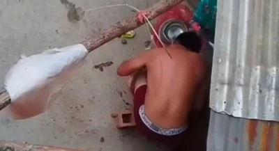 Multan con $87 millones al desalmado que atacó a perrita en Bucaramanga