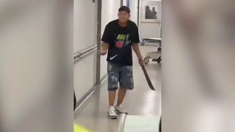 Ke se dice -  Joven-entro-con-machete-a-un-hos (1)