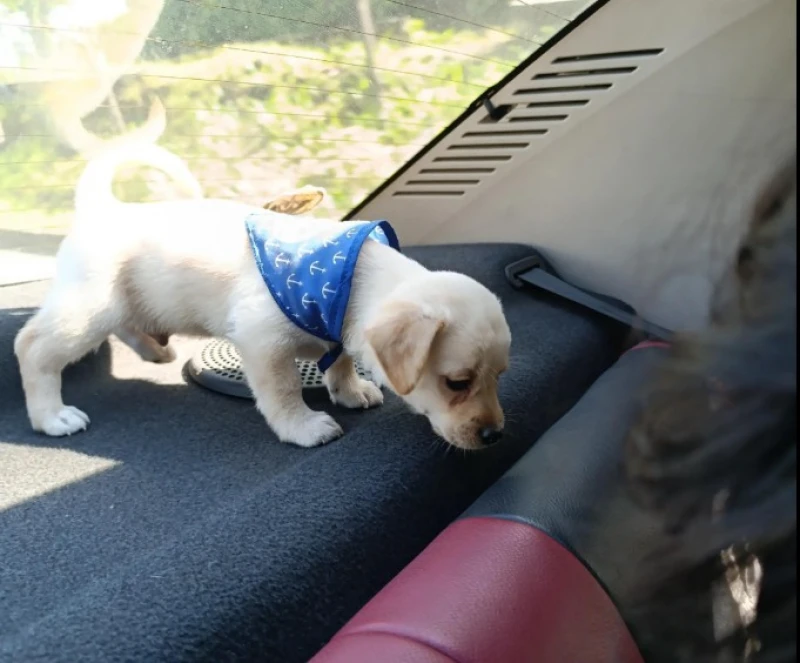 Ke se dice -  Captura de pantalla 2026-04-20 160921